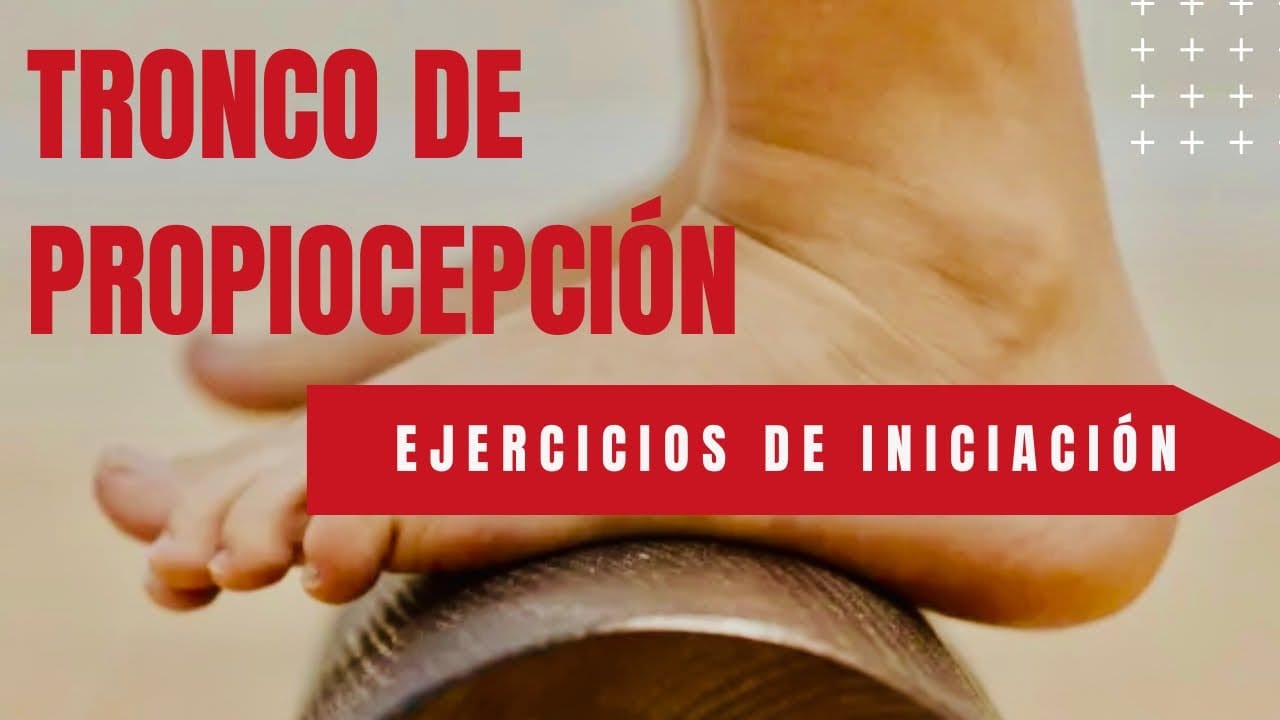 Tronco de Propiocepción