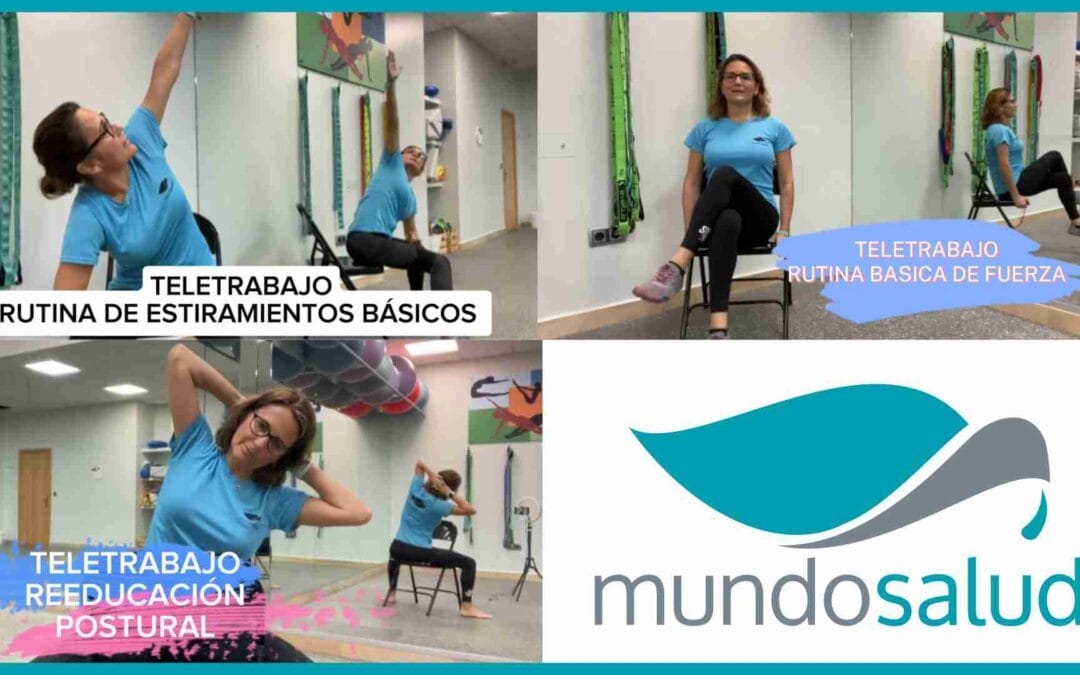 TELETRABAJO: Programa Completo